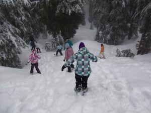 Snowshoeing at Mt Seymour