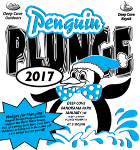 Penguin Plunge 2017