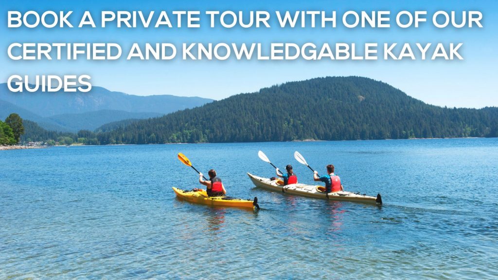 private guided kayak tour